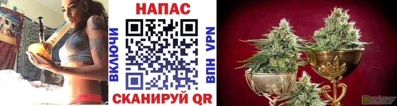 Что такое Полевской Бошки Шишки  ГАШ 