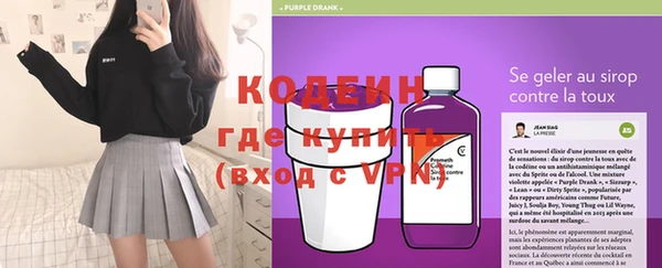 ПСИЛОЦИБИНОВЫЕ ГРИБЫ Арсеньев