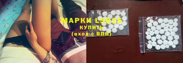 ПСИЛОЦИБИНОВЫЕ ГРИБЫ Арсеньев