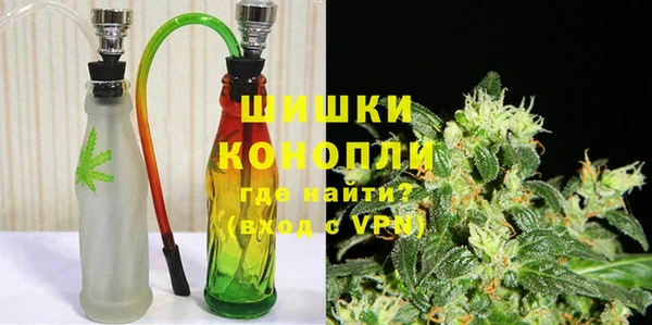 ПСИЛОЦИБИНОВЫЕ ГРИБЫ Арсеньев
