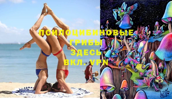 ПСИЛОЦИБИНОВЫЕ ГРИБЫ Арсеньев