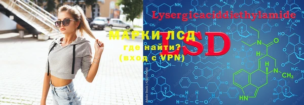 ПСИЛОЦИБИНОВЫЕ ГРИБЫ Арсеньев