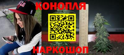 стаф Лесосибирск