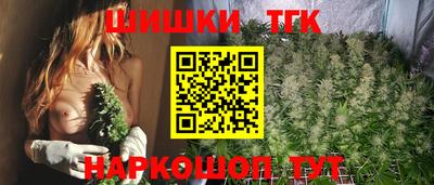 стаф Лесосибирск