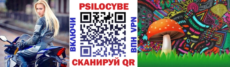 даркнет сайт  Полевской  Галлюциногенные грибы мицелий 
