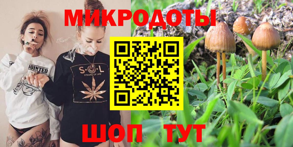 Псилоцибиновые грибы Psilocybine cubensis Полевской