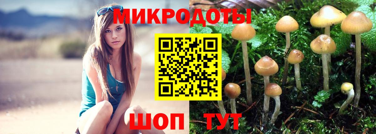 Галлюциногенные грибы прущие грибы  Вход с VPN  Псилоцибиновые грибы мицелий  Полевской 